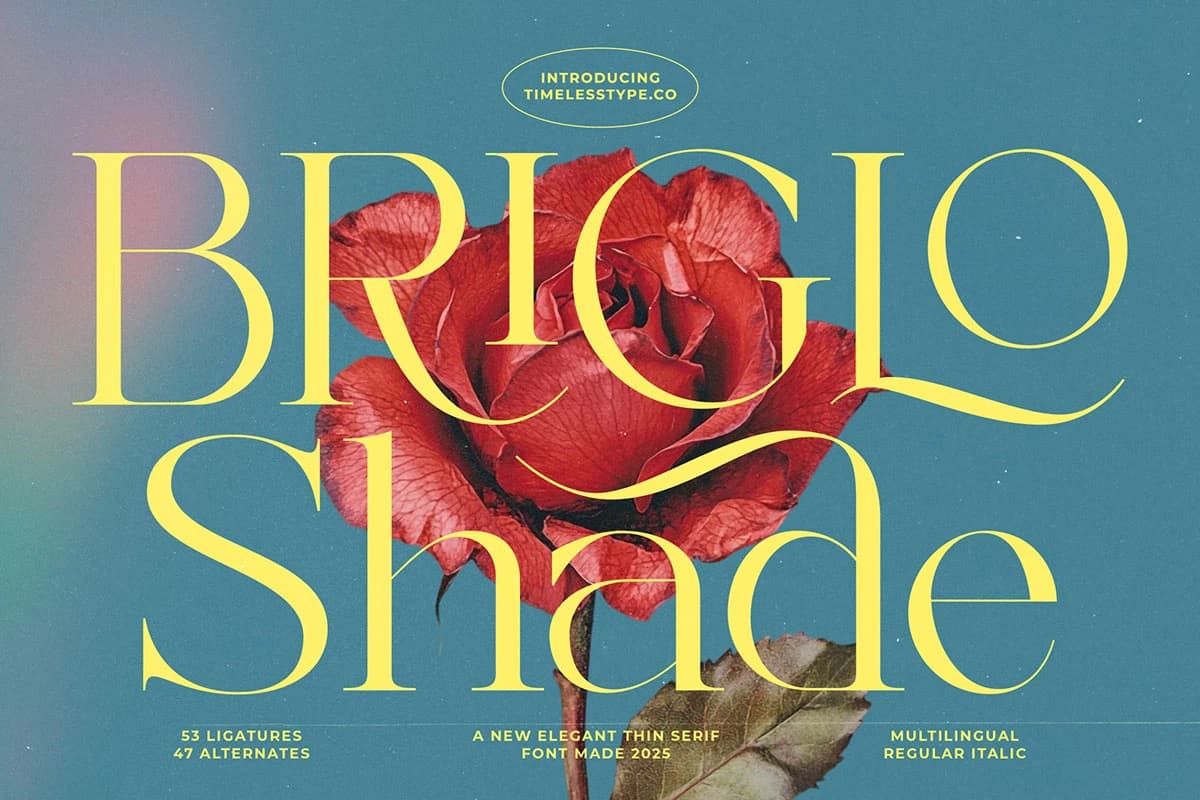 Preview of Briglo Shade - Elegant Thin Font font