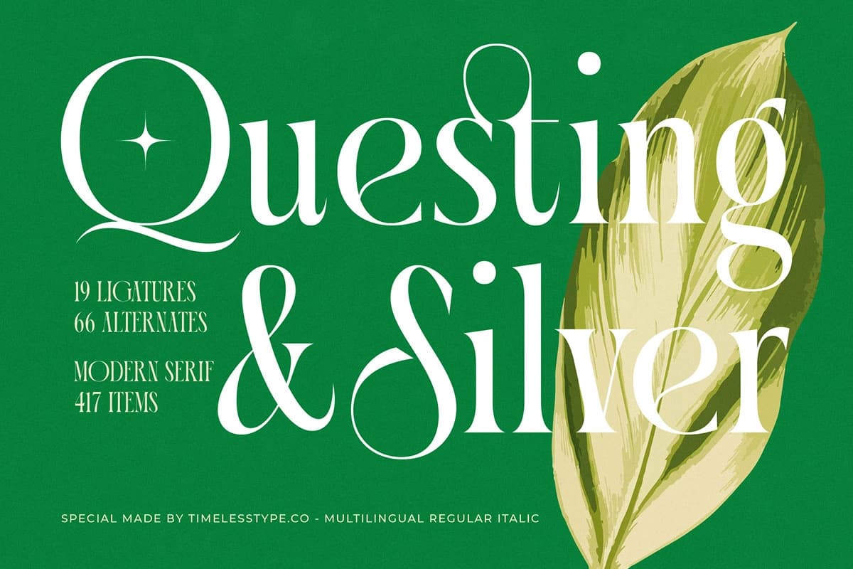 Preview 1 for Questing Silver - Modern Serif Font