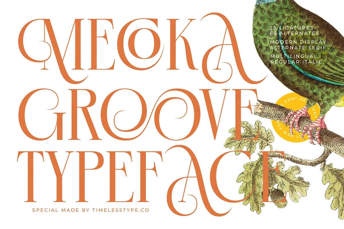 Preview 1 for Mecoka Groove - Modern Display Alternate Serif