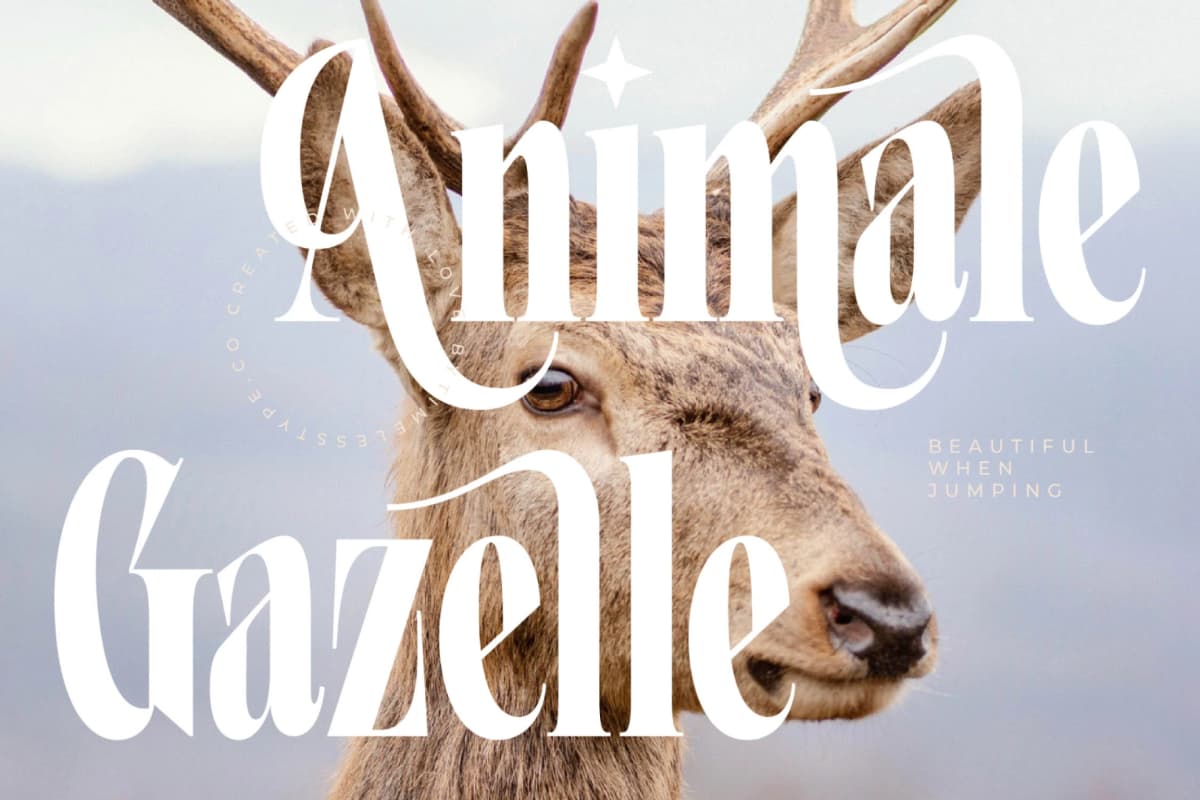 Grafistye - Modern Display font preview 6