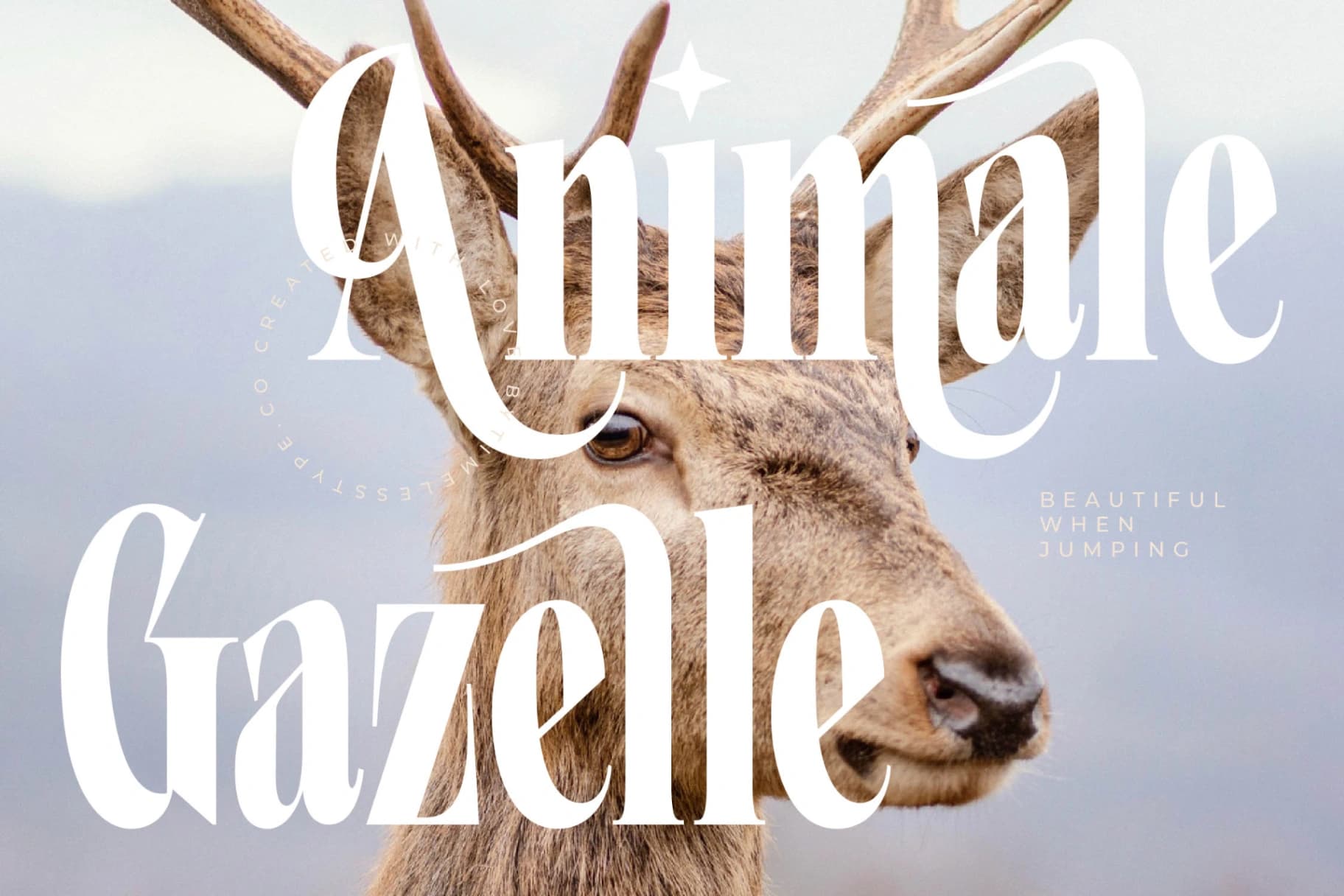 Preview 6 for Grafistye - Modern Display
