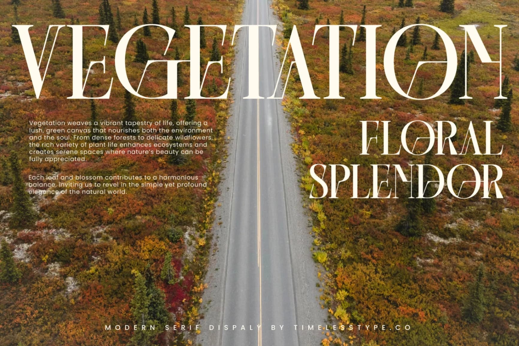 Preview 8 for Barstge - Modern Serif Display