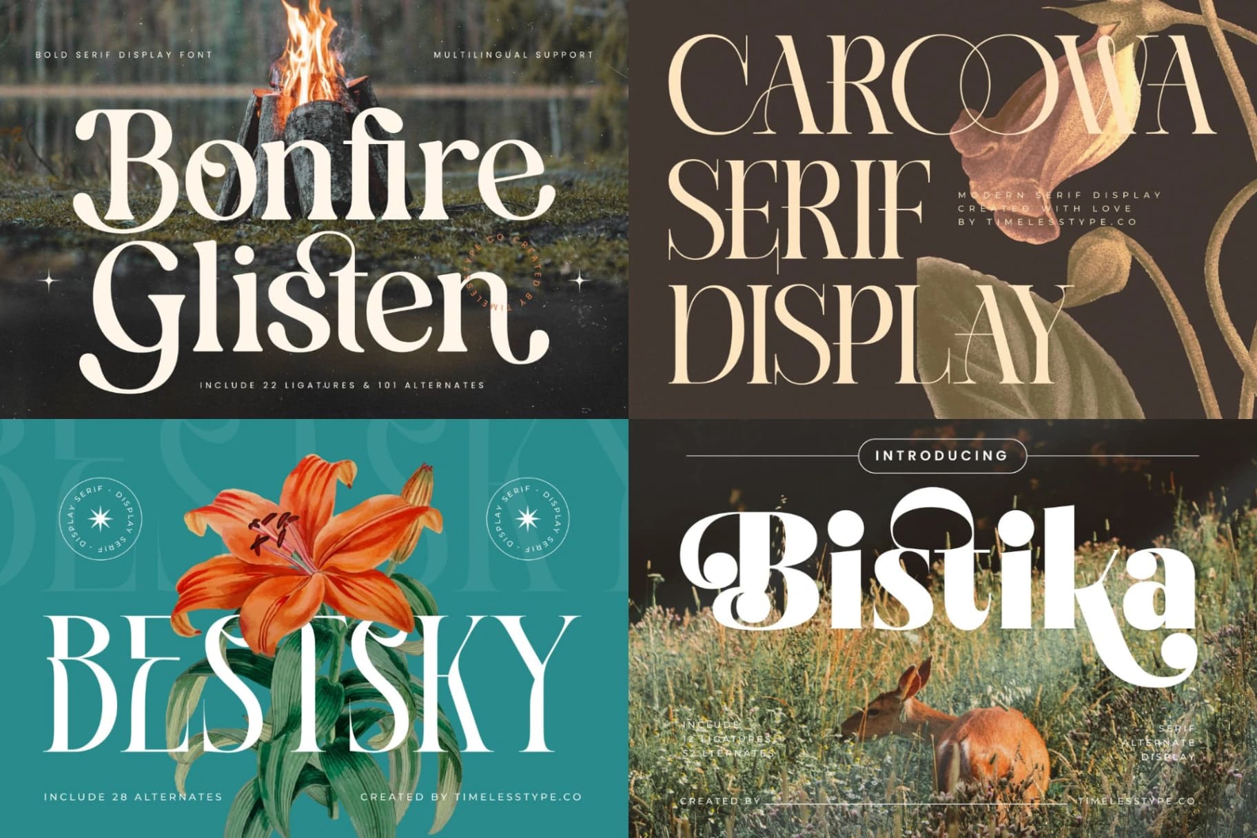 Preview 13 for Epic Bundle 50 Fonts Explosion