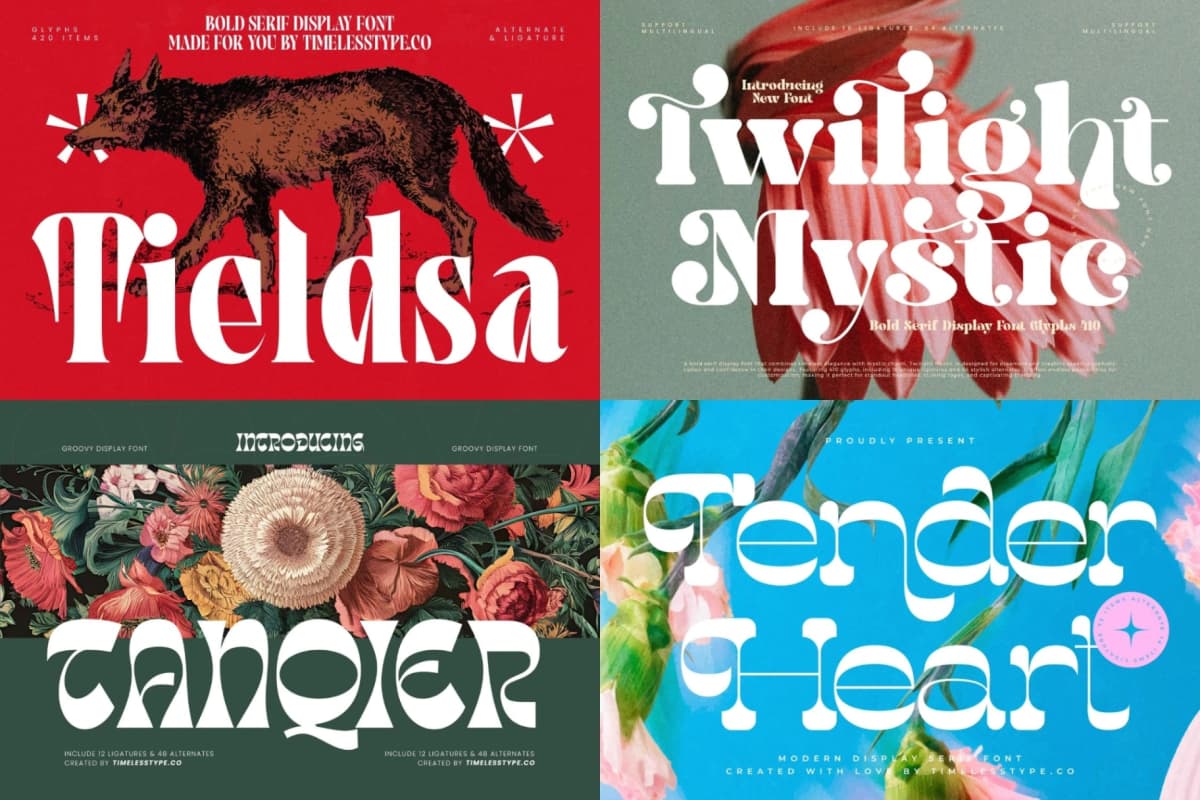 Preview 3 for Shock Deal 48 Fonts Bundle