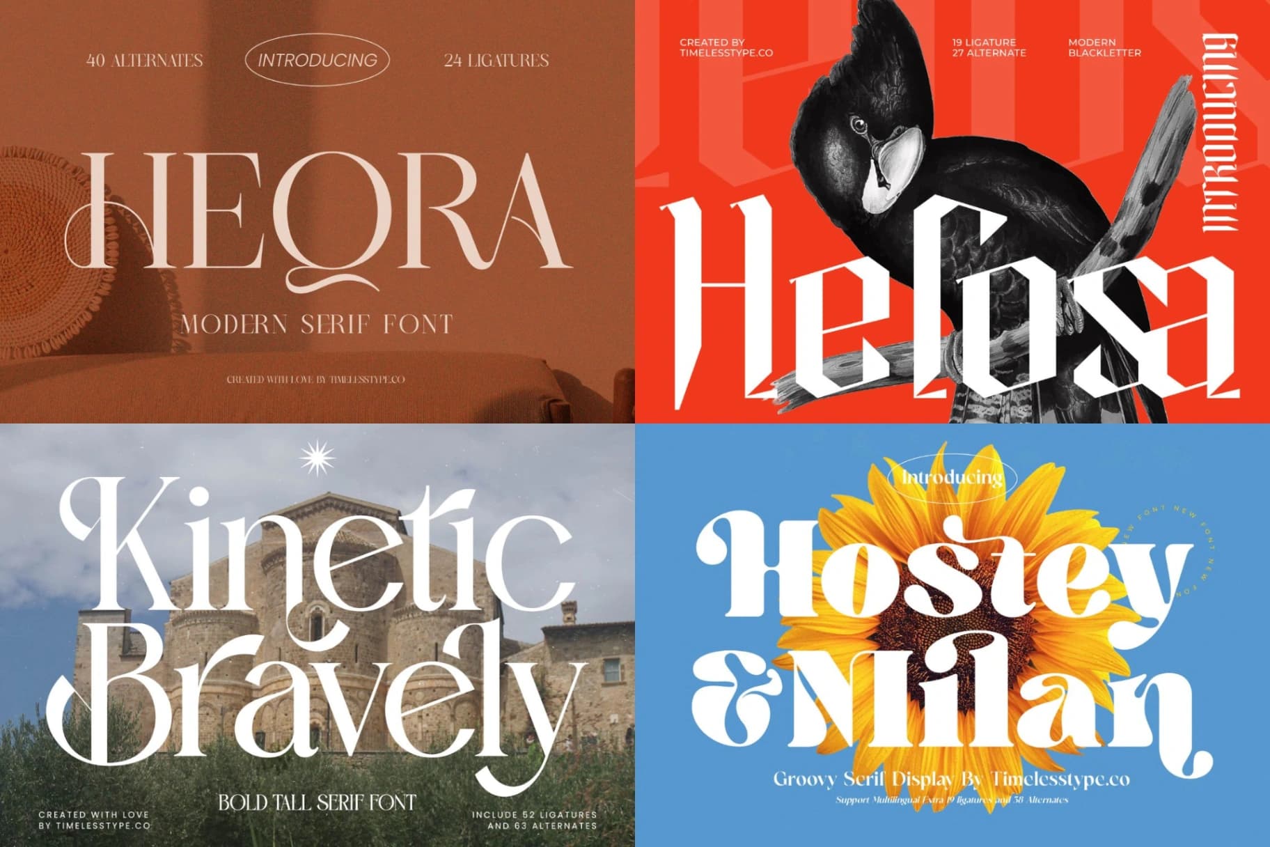 Preview 7 for Unleash Power 50 Fonts Pack