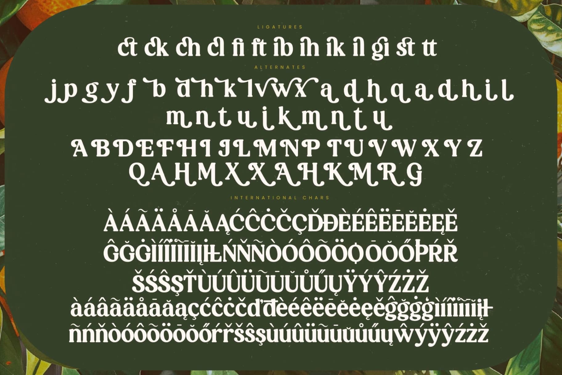Preview 19 for Magics Flavor - Modern Retro Serif