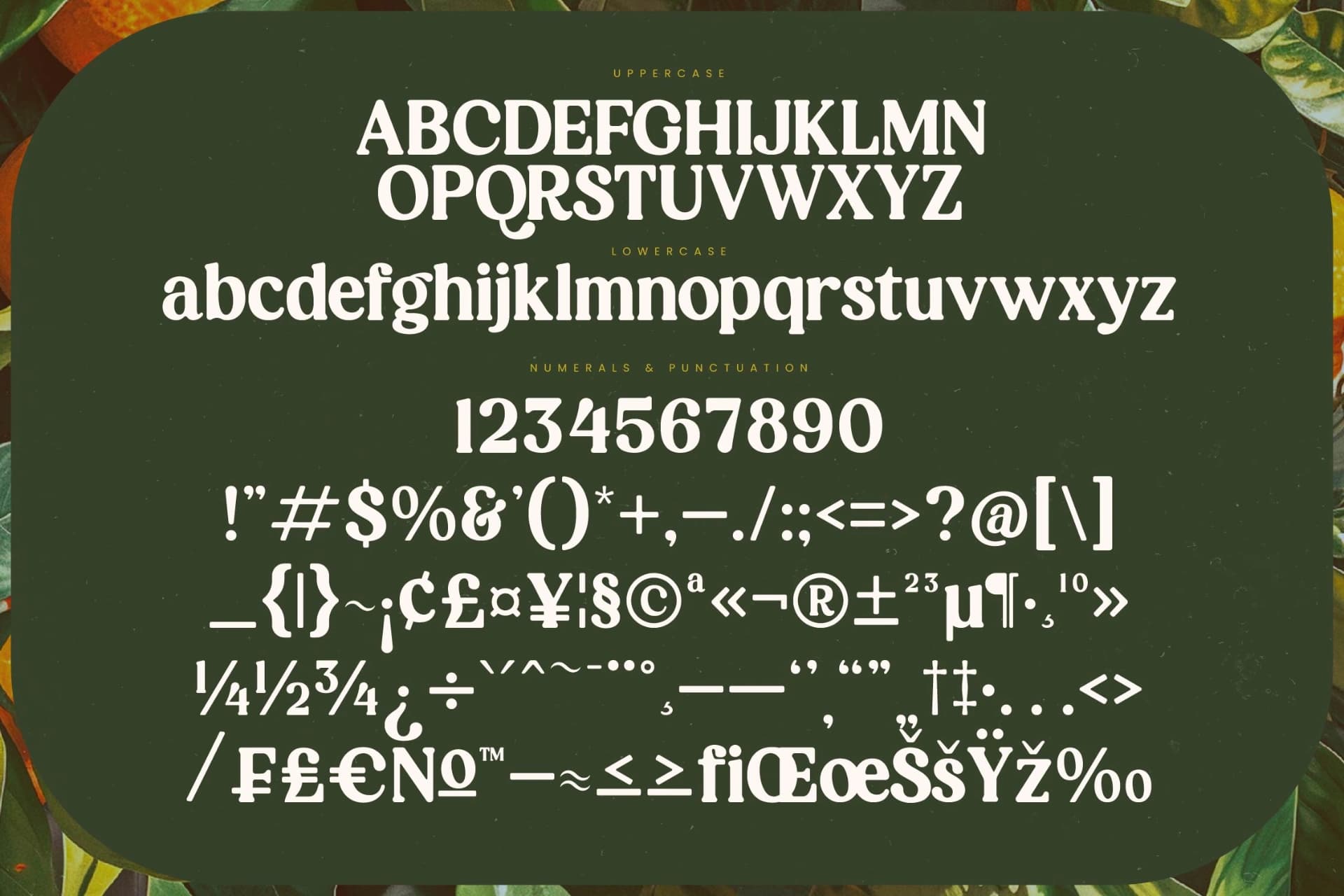 Preview 18 for Magics Flavor - Modern Retro Serif