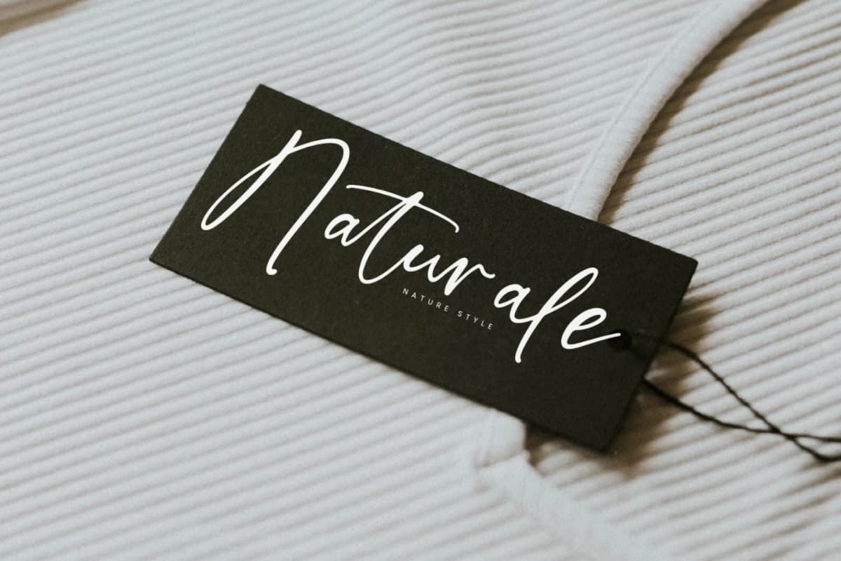 Starlight Tonight - Modern Handwritten Font font preview 10