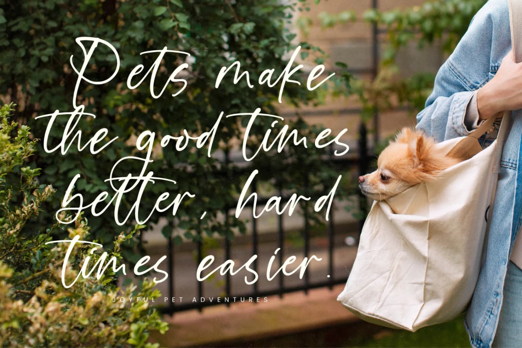 Preview 6 for Starlight Tonight - Modern Handwritten Font