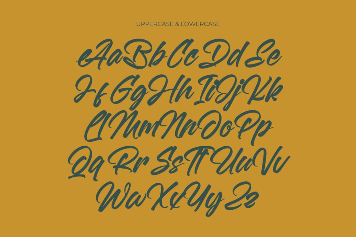Preview 10 for Malgent Husked - Bold Script Font
