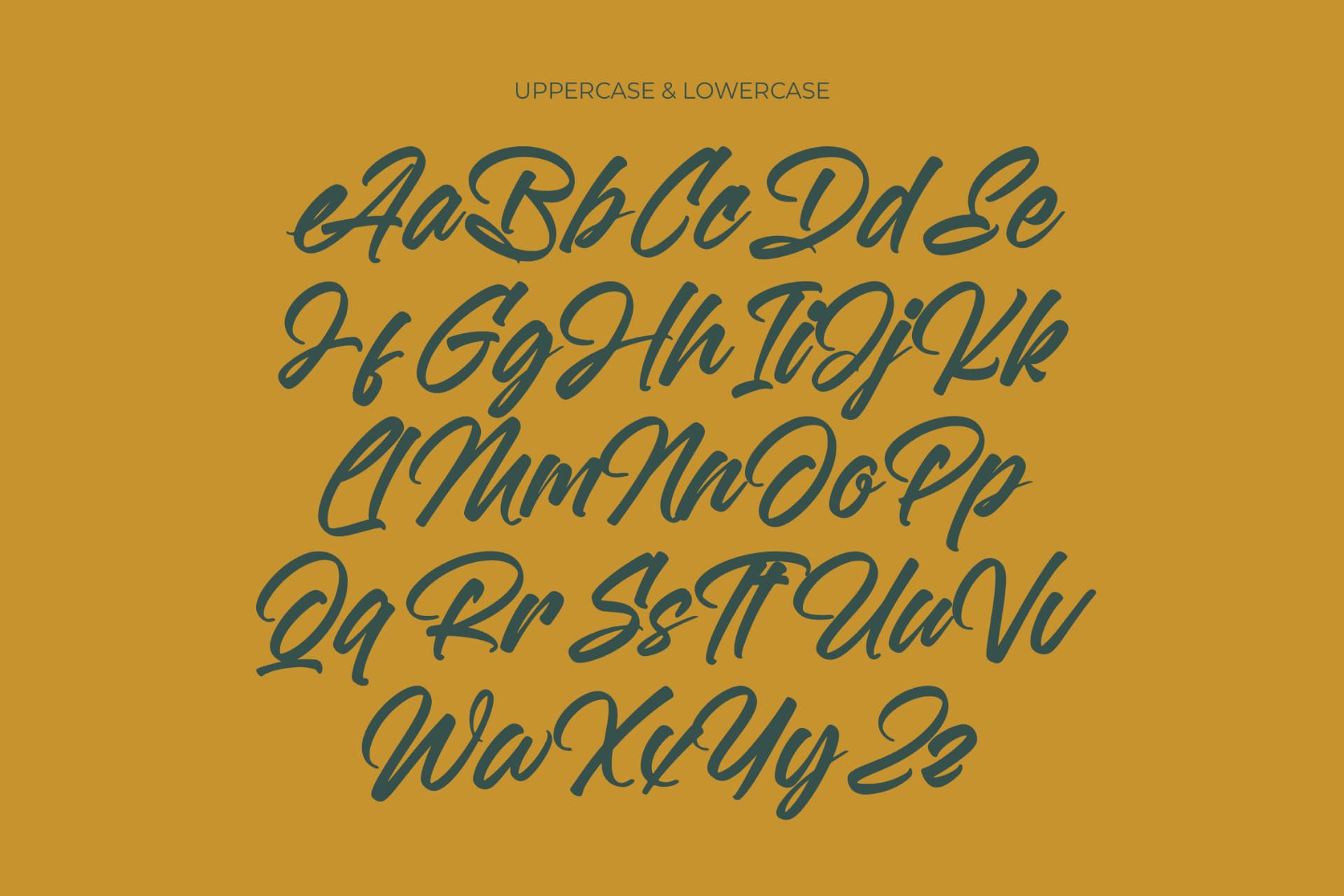 Preview 10 for Malgent Husked - Bold Script Font