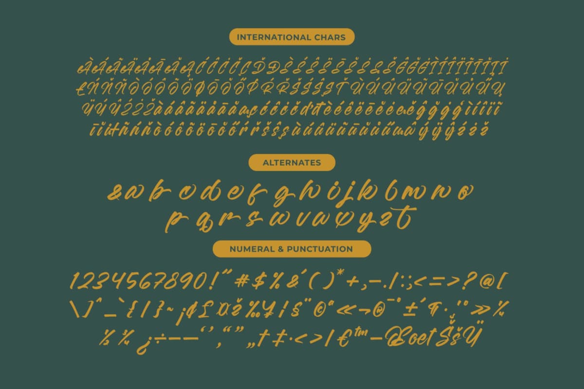 Preview 13 for Malgent Husked - Bold Script Font