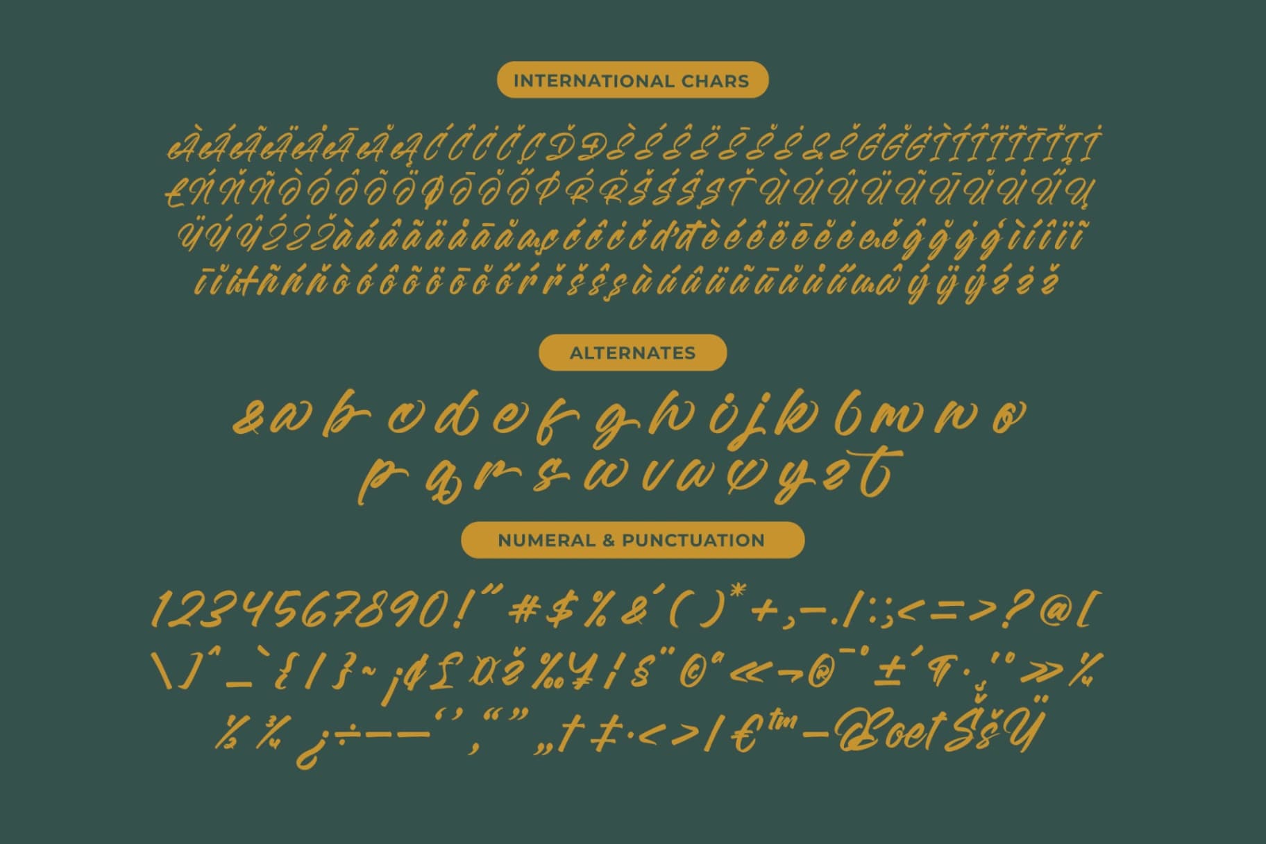 Preview 13 for Malgent Husked - Bold Script Font