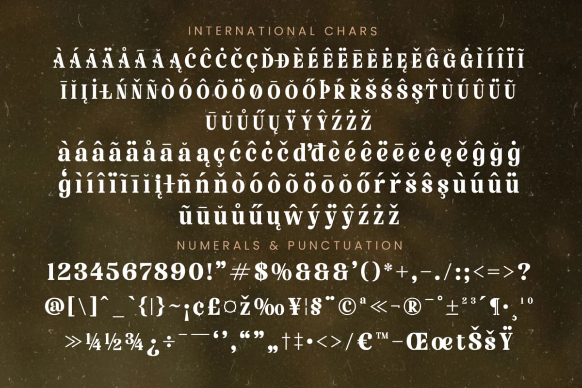 Nofiani Katrie - Modern Alternate Serif font preview 18