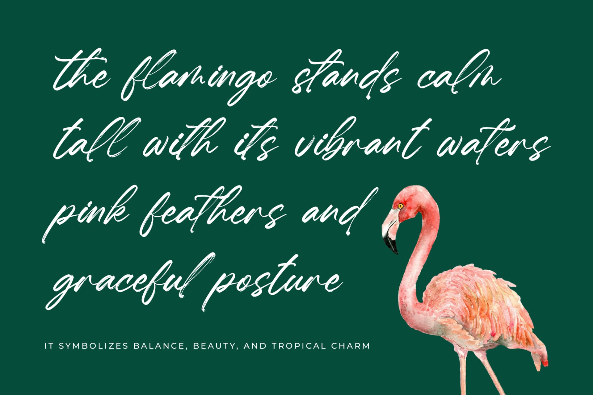 Preview 4 for Hugetta Amphals - Elegant Brush Font