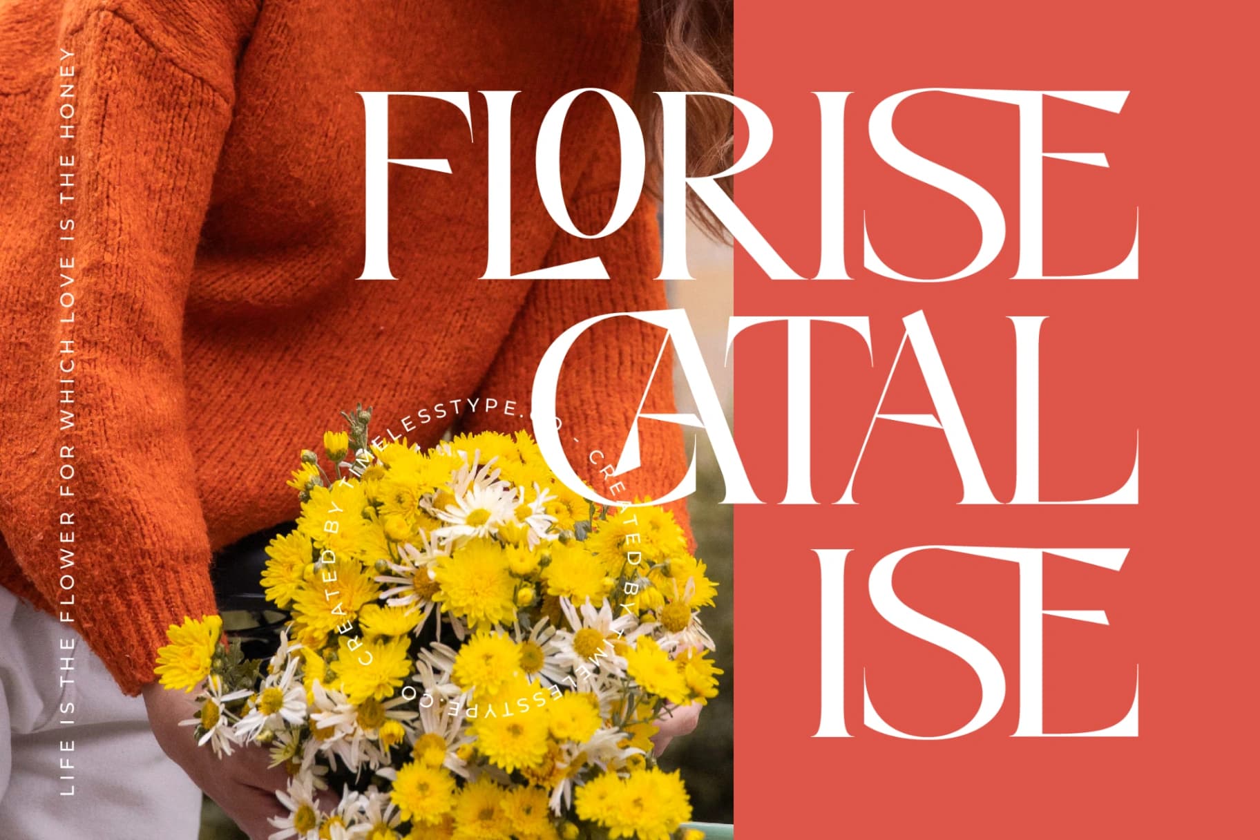 Preview 4 for Midlife Cricise - Modern Display Font
