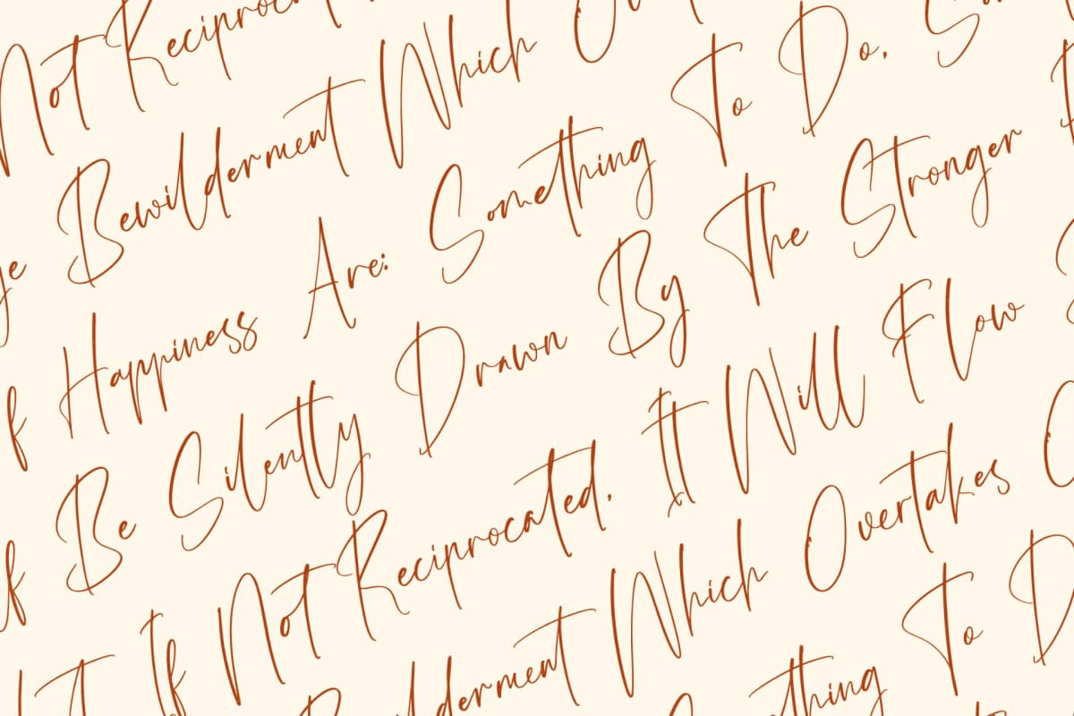 Amsterdam Silhouete - Modern Script Font font preview 9