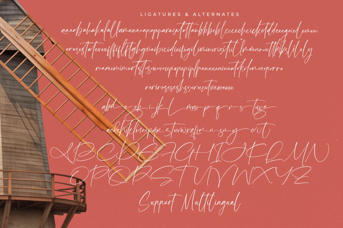 Amsterdam Silhouete - Modern Script Font font preview 19