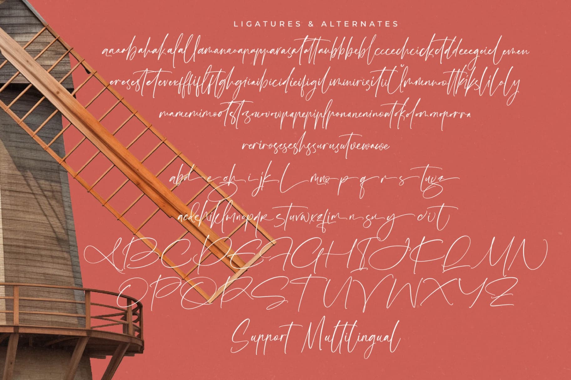 Preview 19 for Amsterdam Silhouete - Modern Script Font