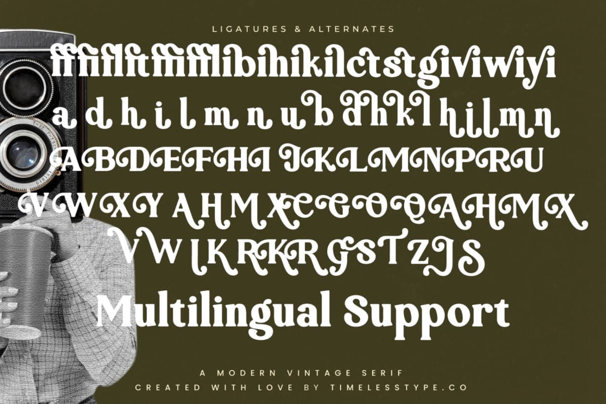 Jackets Region - Modern Vintage Serif font preview 19