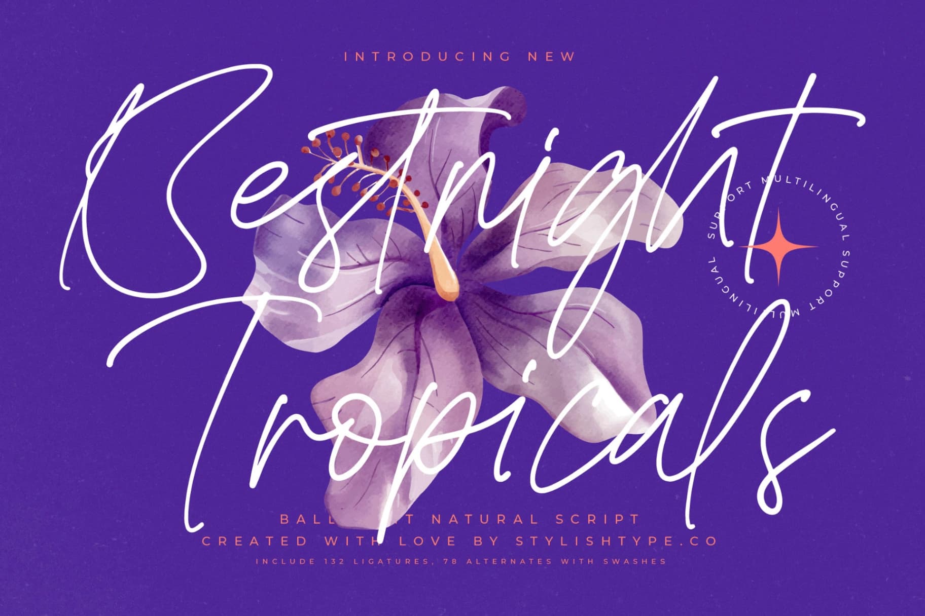 Preview 1 for Bestnight Tropicals - Ballpoint Natural Script