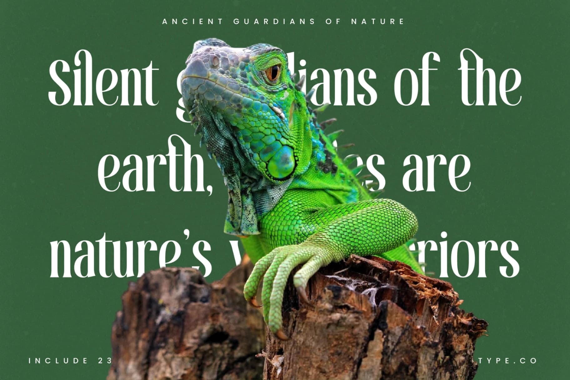 Preview 13 for Theforest - Modern Serif Font