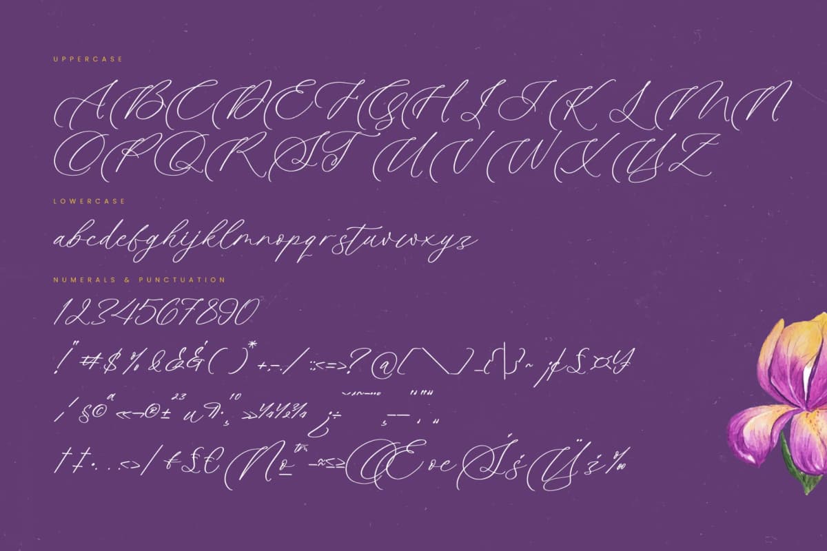Preview 18 for Betany Katepia - Beauty Calligraphy Script