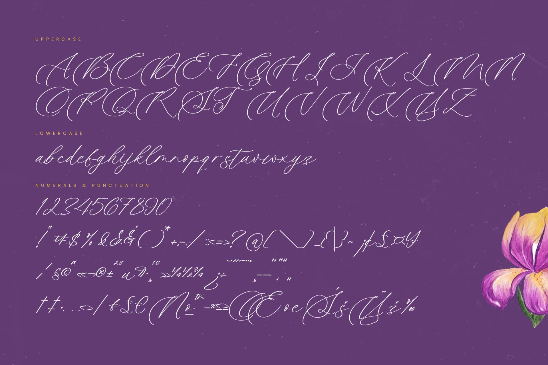 Preview 18 for Betany Katepia - Beauty Calligraphy Script
