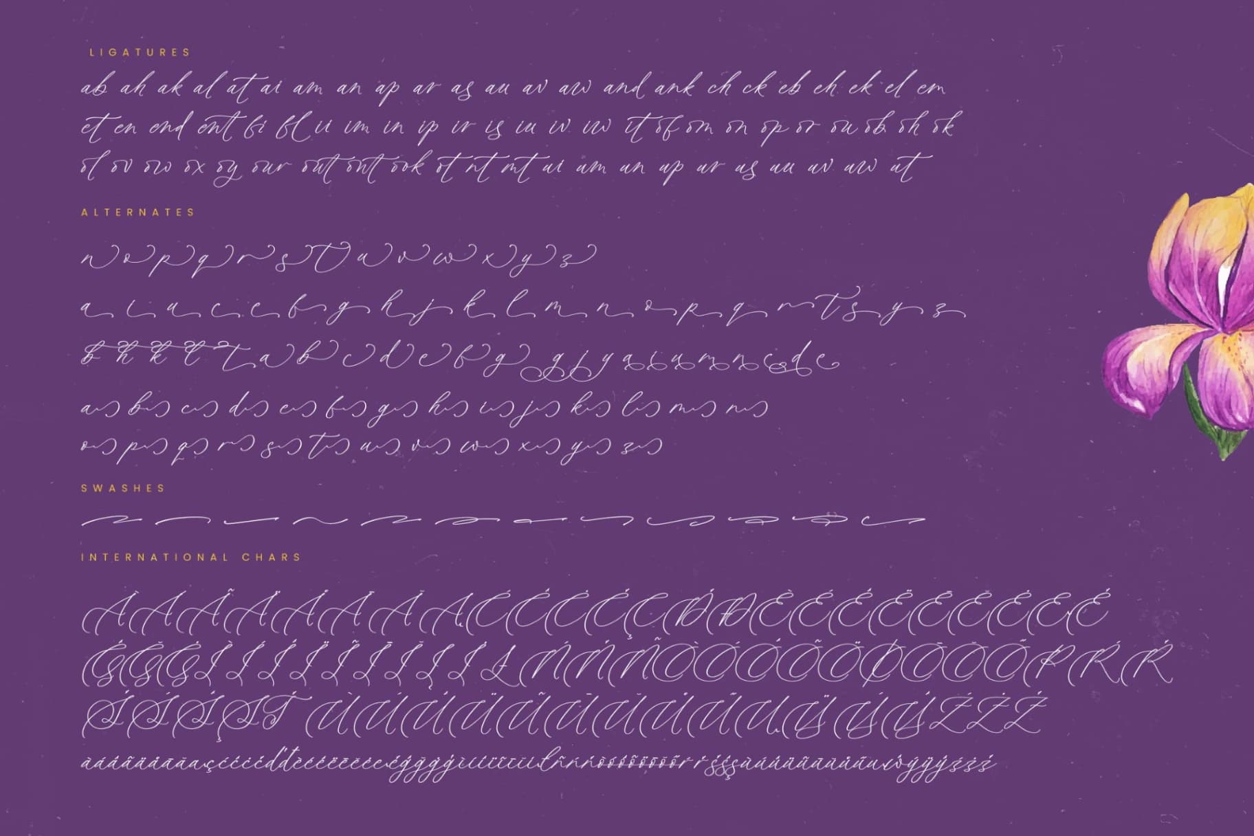 Preview 19 for Betany Katepia - Beauty Calligraphy Script