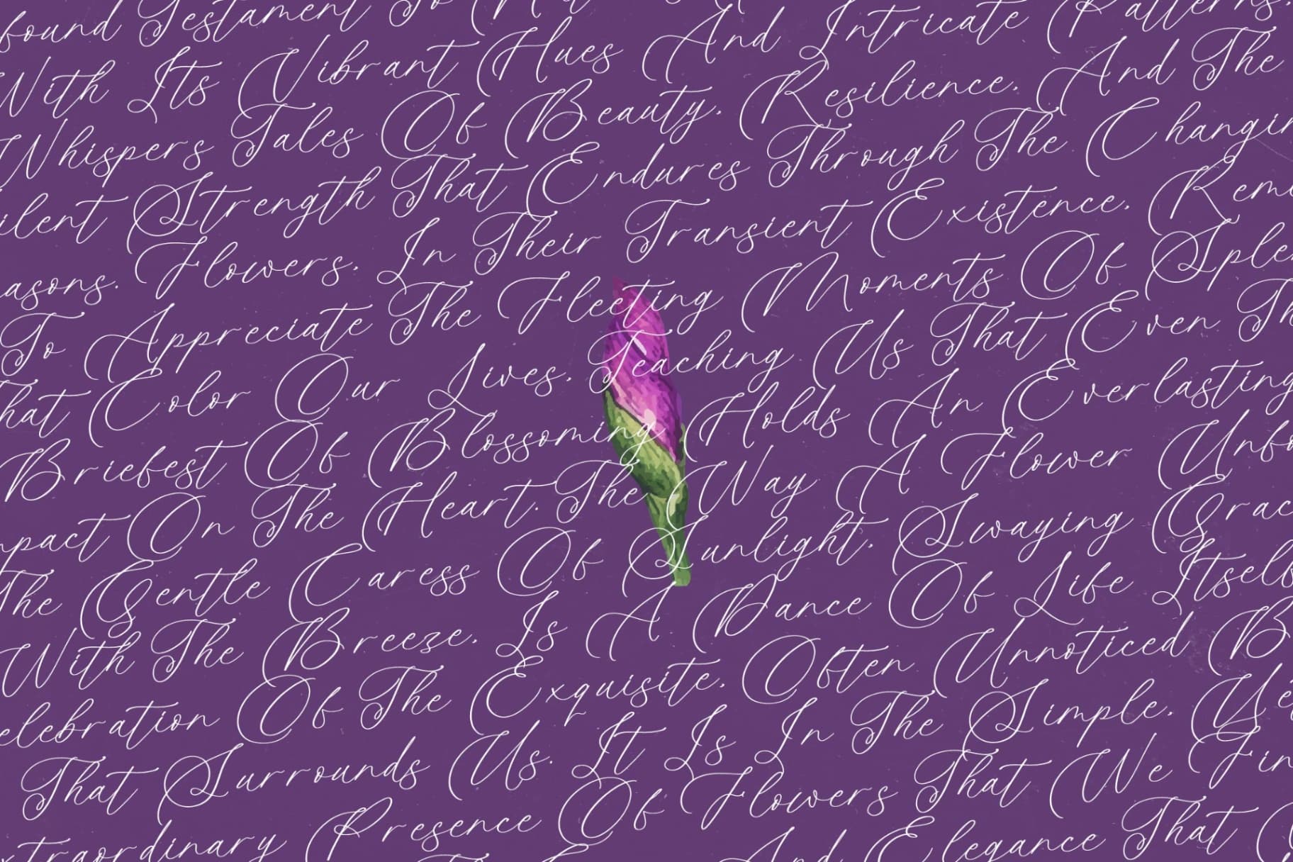 Preview 14 for Betany Katepia - Beauty Calligraphy Script