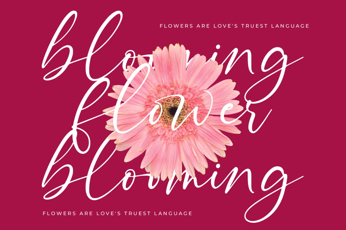 Preview 9 for Montise Natasha - Stylish Handwritten Font