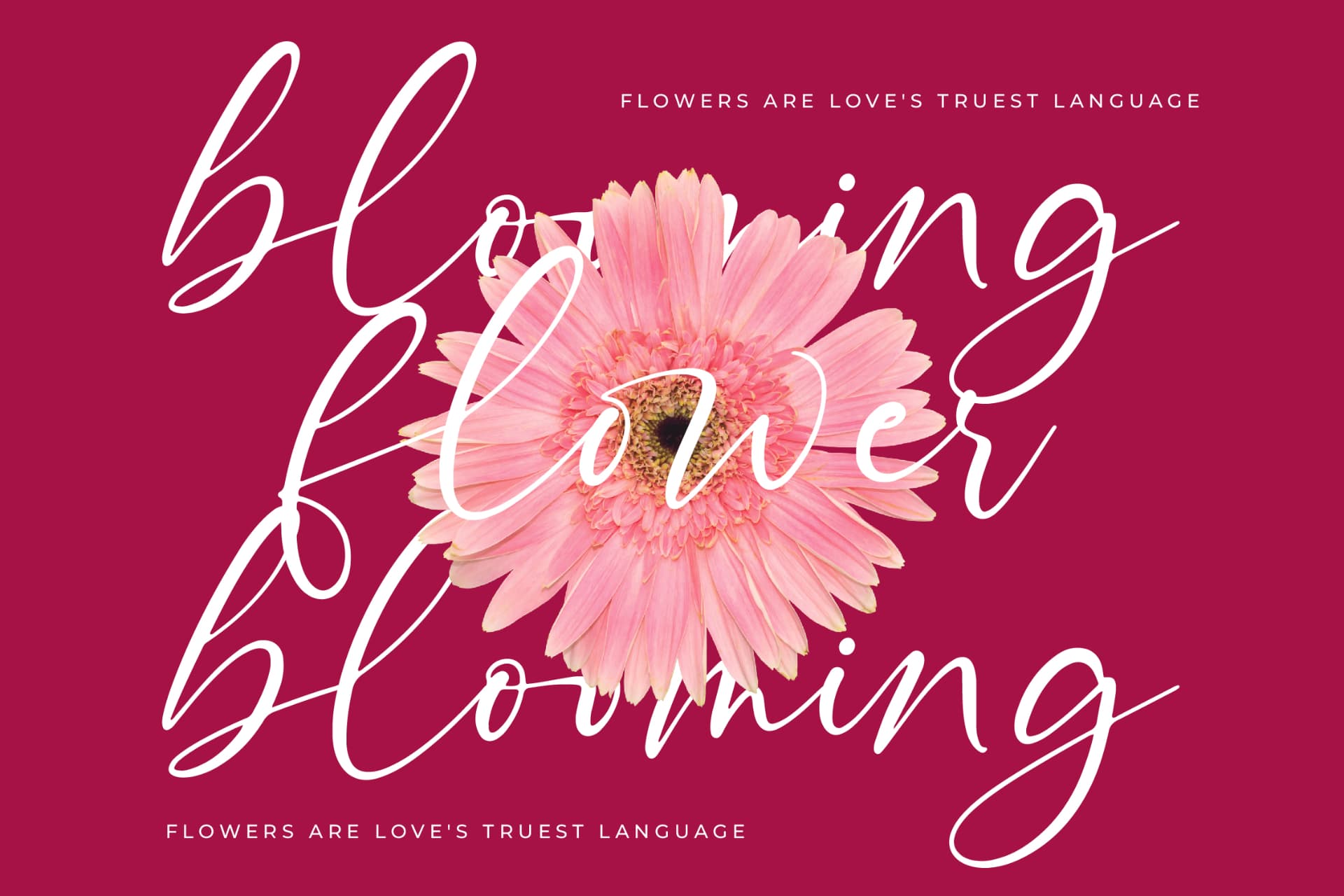 Preview 9 for Montise Natasha - Stylish Handwritten Font