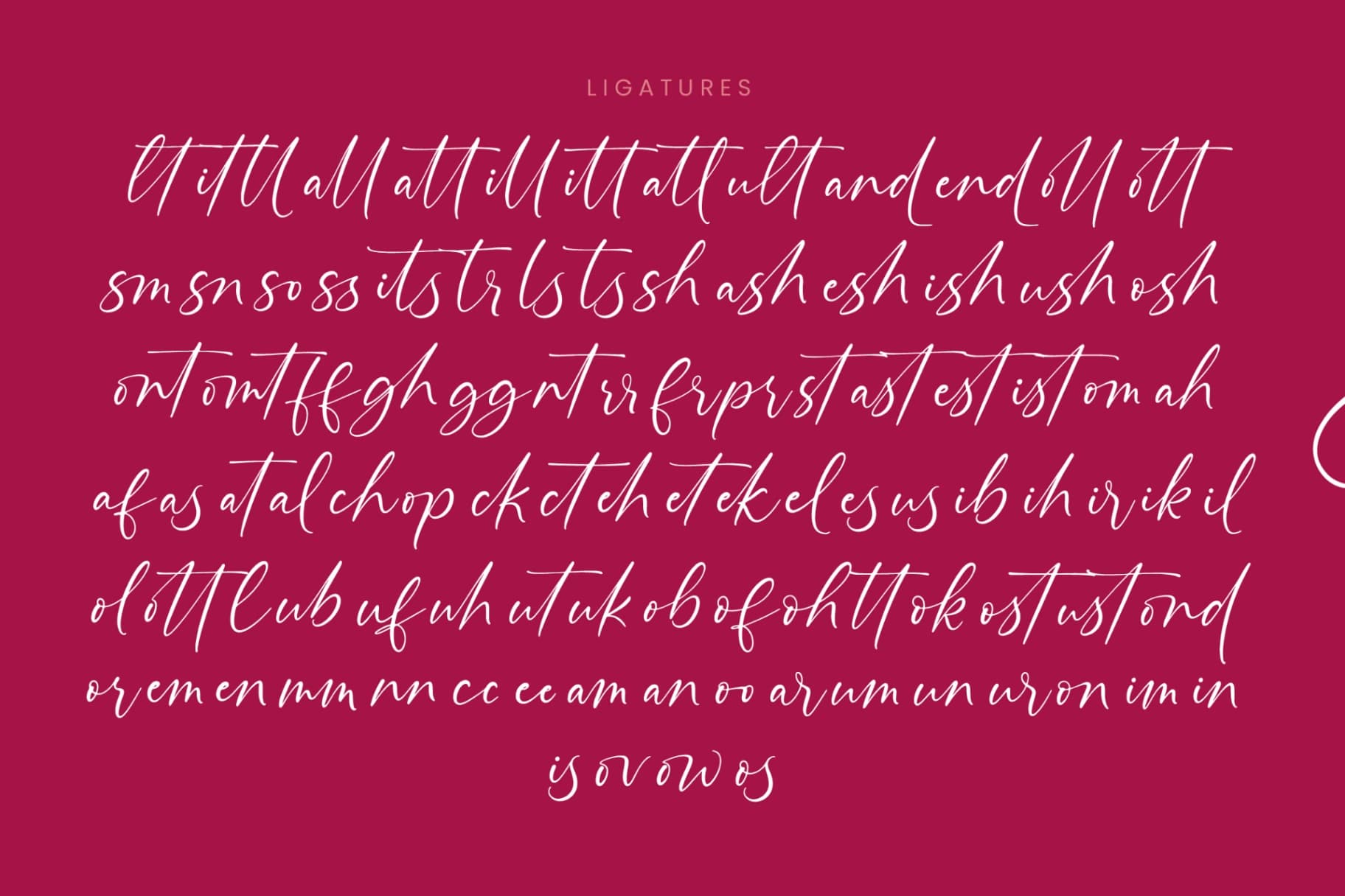 Preview 19 for Montise Natasha - Stylish Handwritten Font