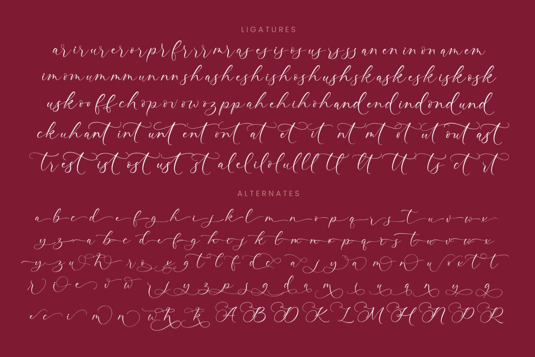 Preview 19 for Aurating Martey - Stylish Calligraphy Font