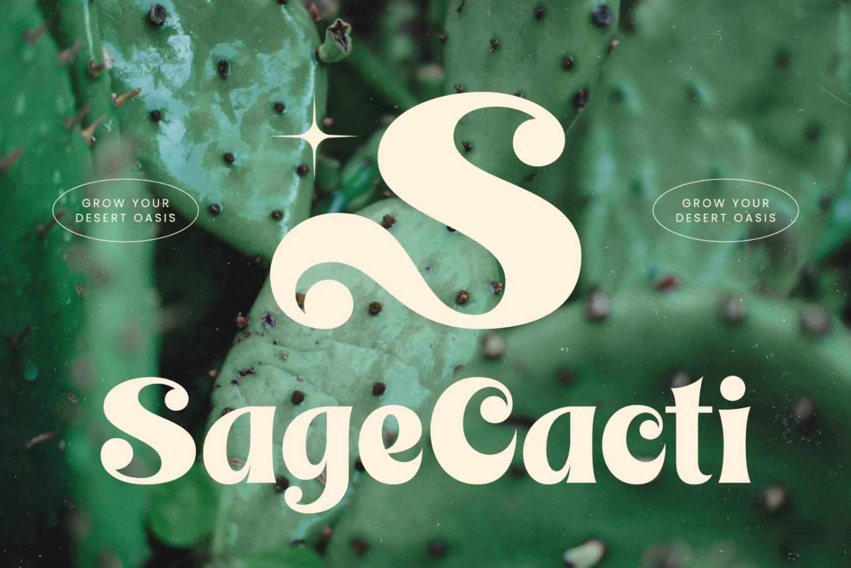 Preview 3 for Bright Kenly - Modern Retro Display Serif