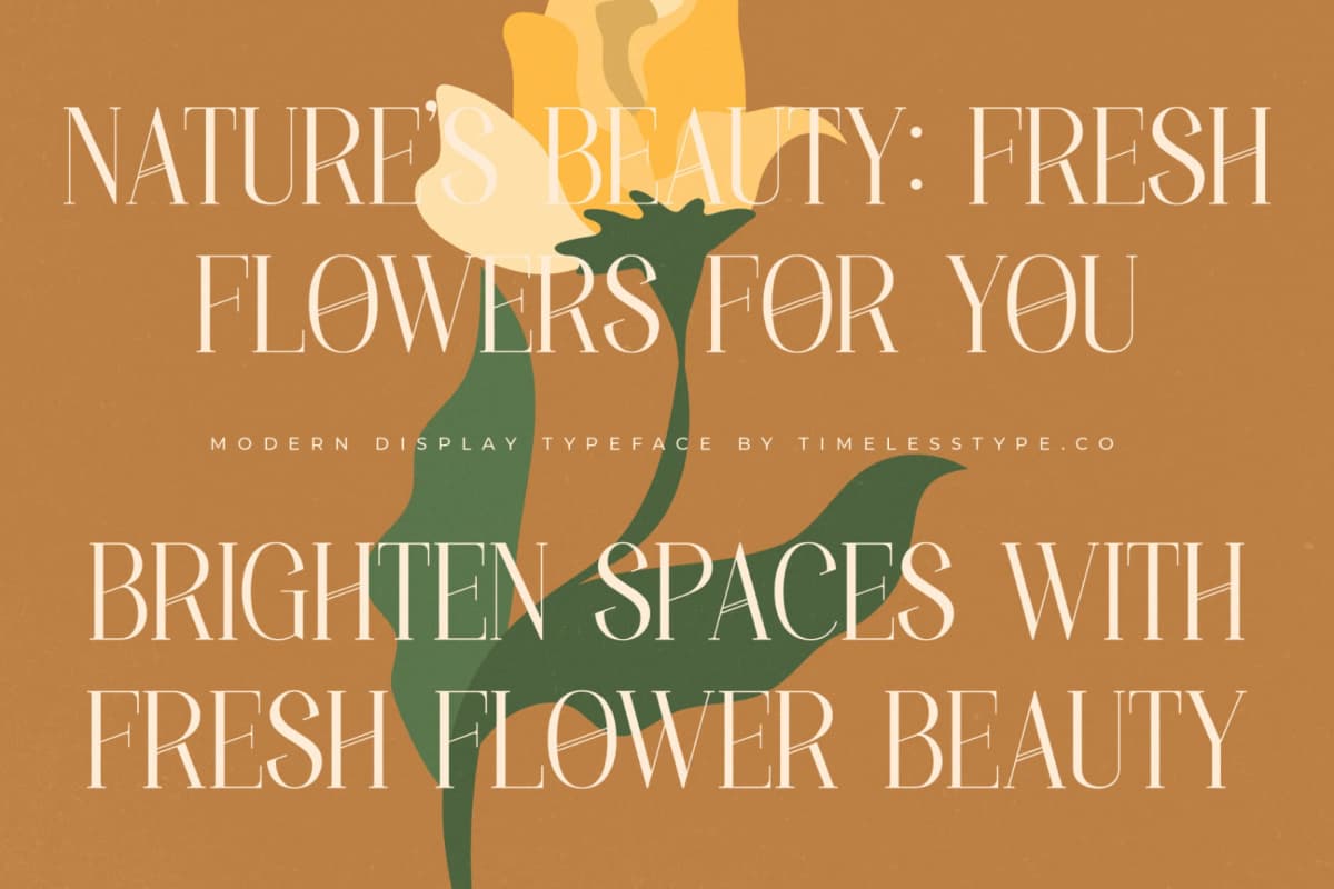 Holdmen Paradise - Modern Display Typeface font preview 7