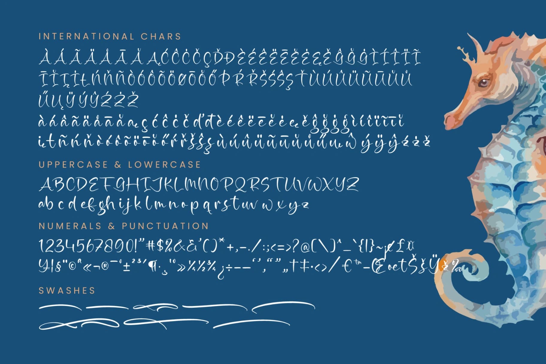 Preview 18 for Exuisite Seahorse - Quirky Handwritten Font