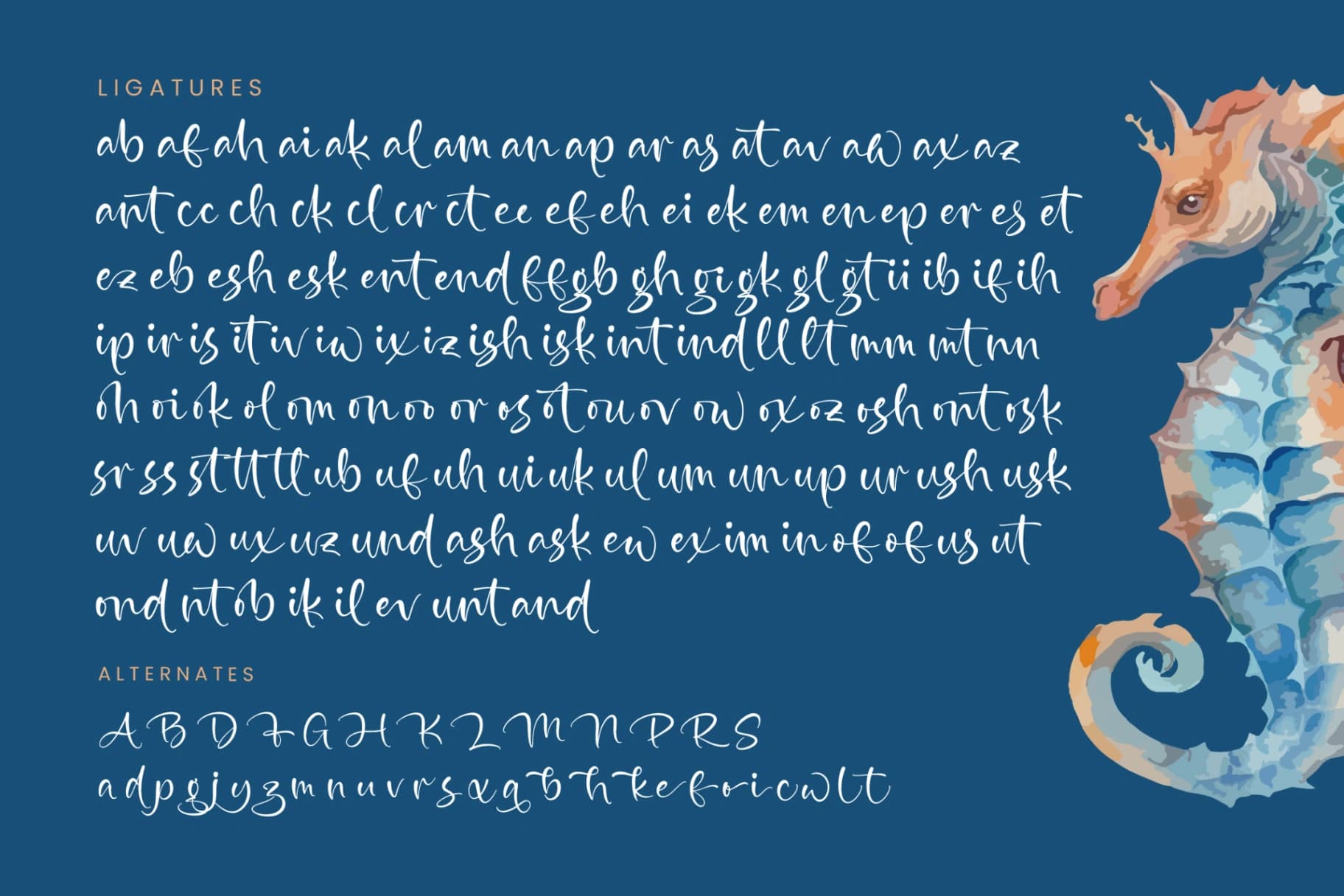 Preview 19 for Exuisite Seahorse - Quirky Handwritten Font