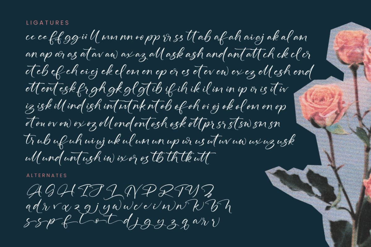 Defloris Another - Stylish Handwritten Font font preview 19