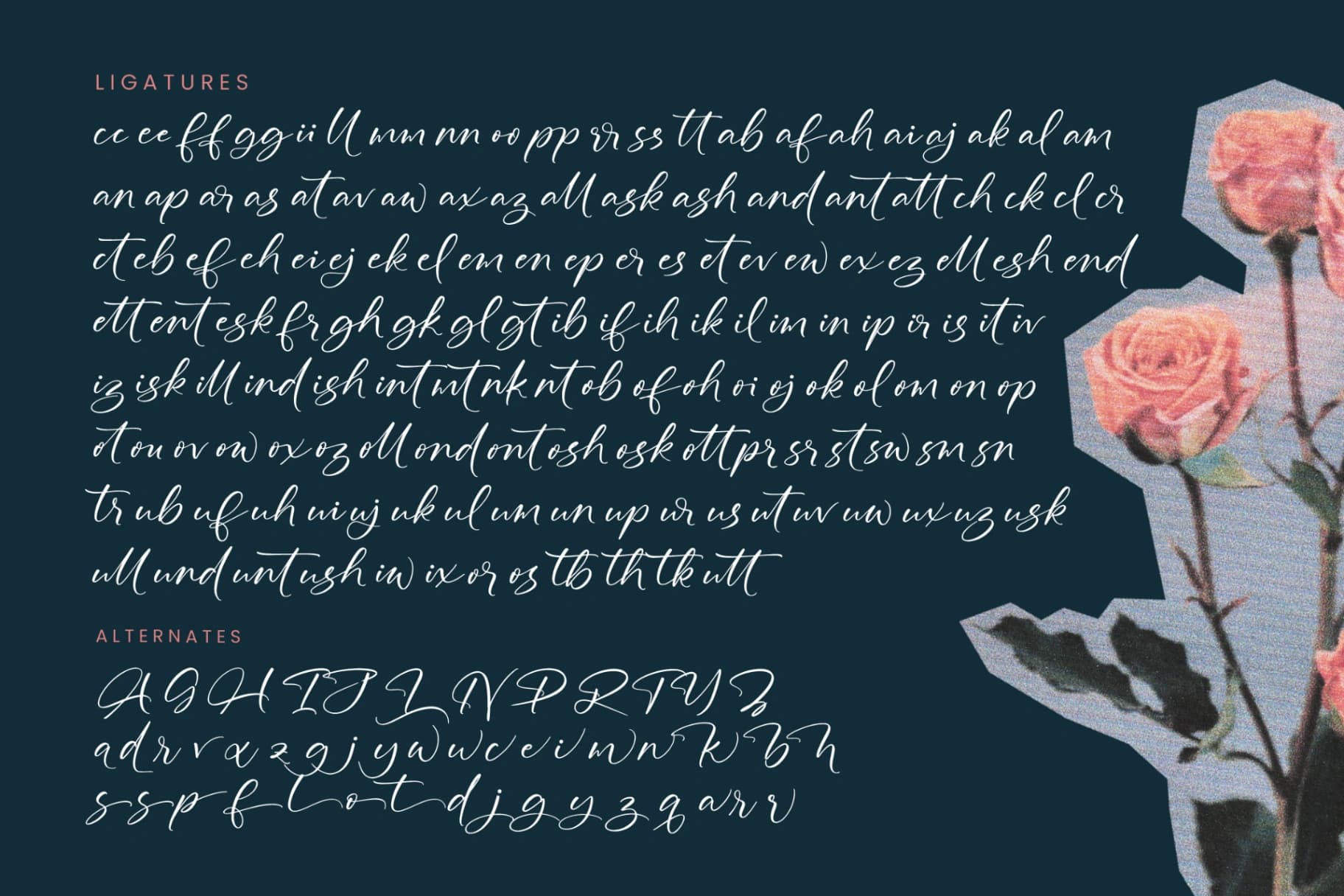 Preview 19 for Defloris Another - Stylish Handwritten Font