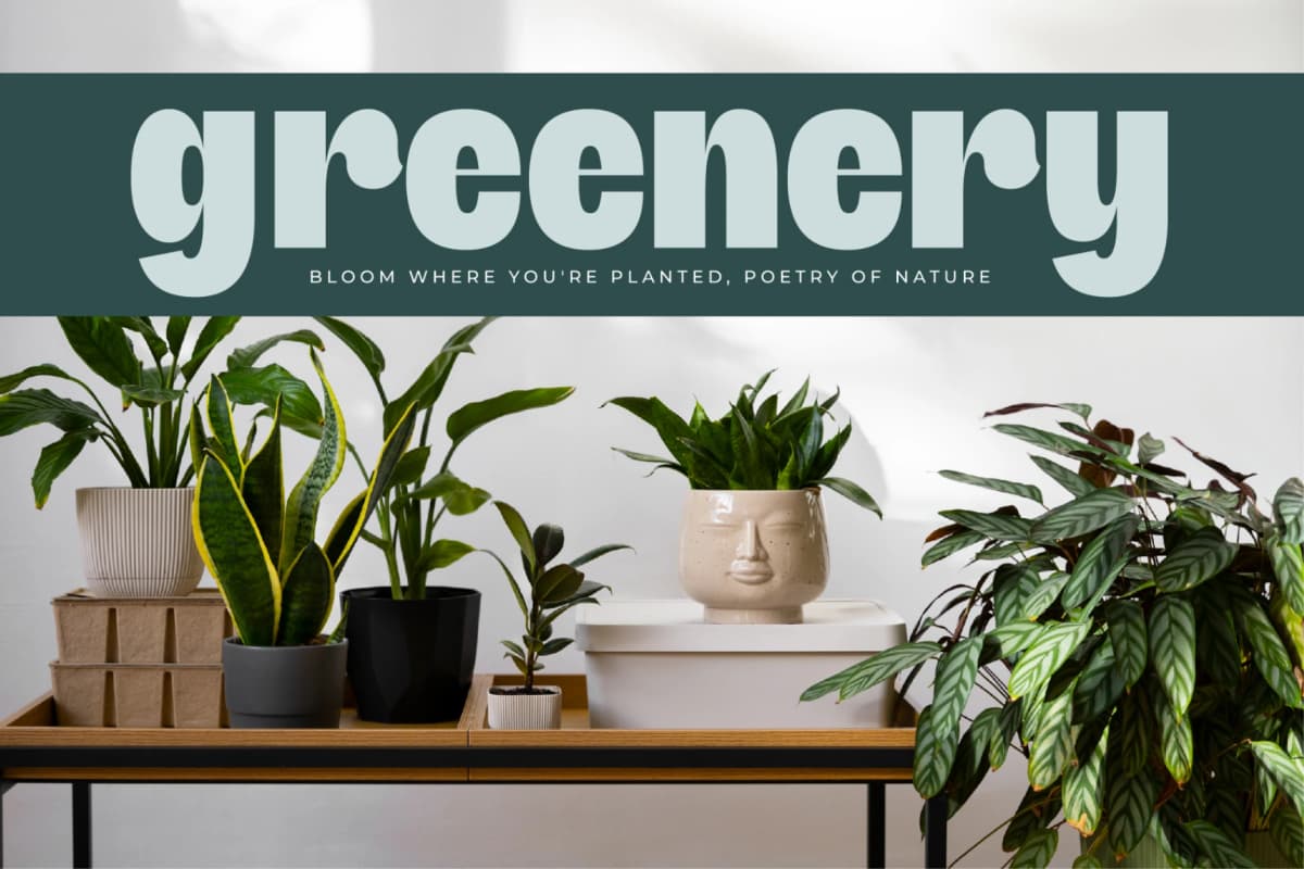 Preview 14 for Giftson - Display Sans Serif Font