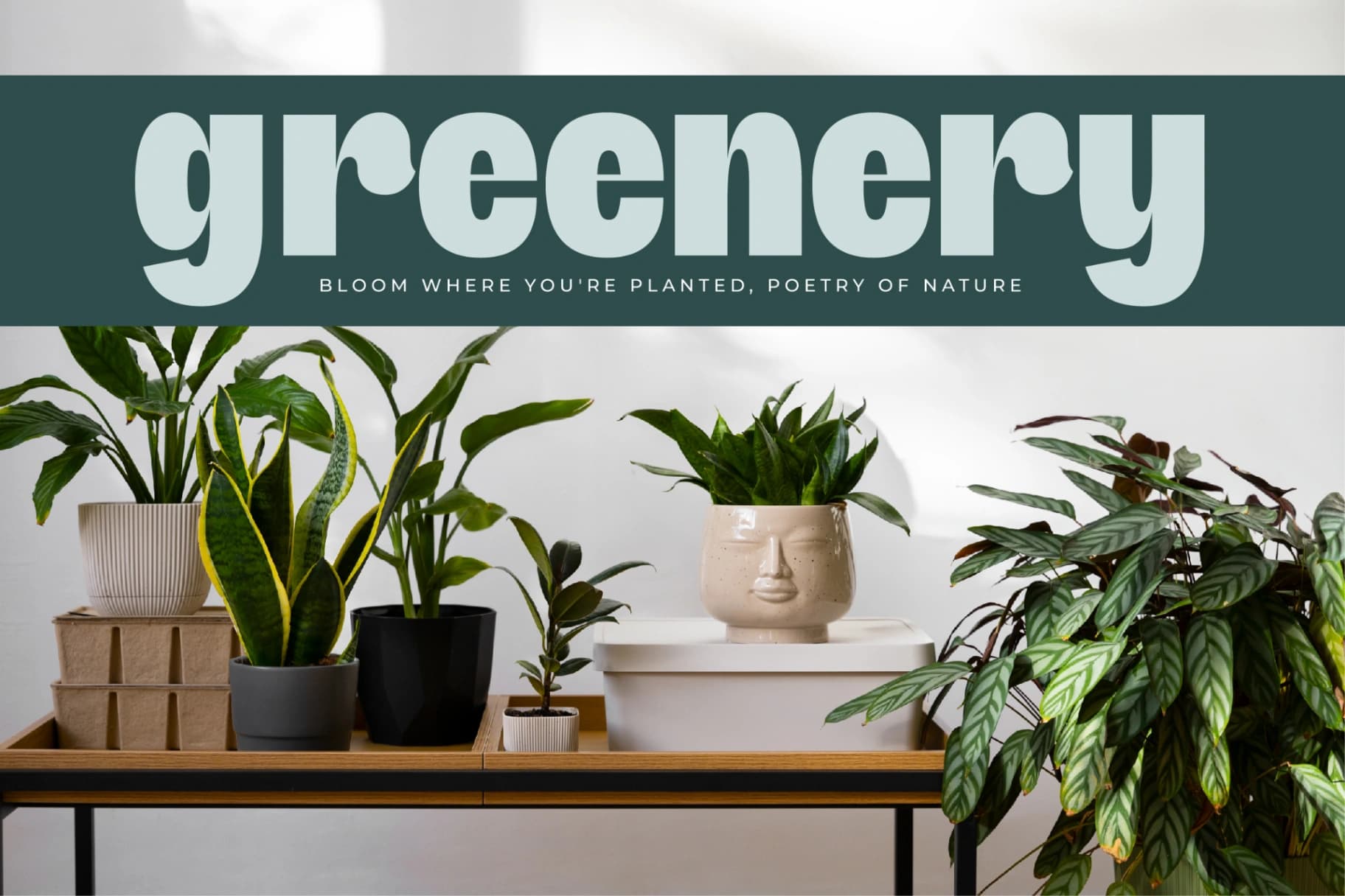 Preview 14 for Giftson - Display Sans Serif Font