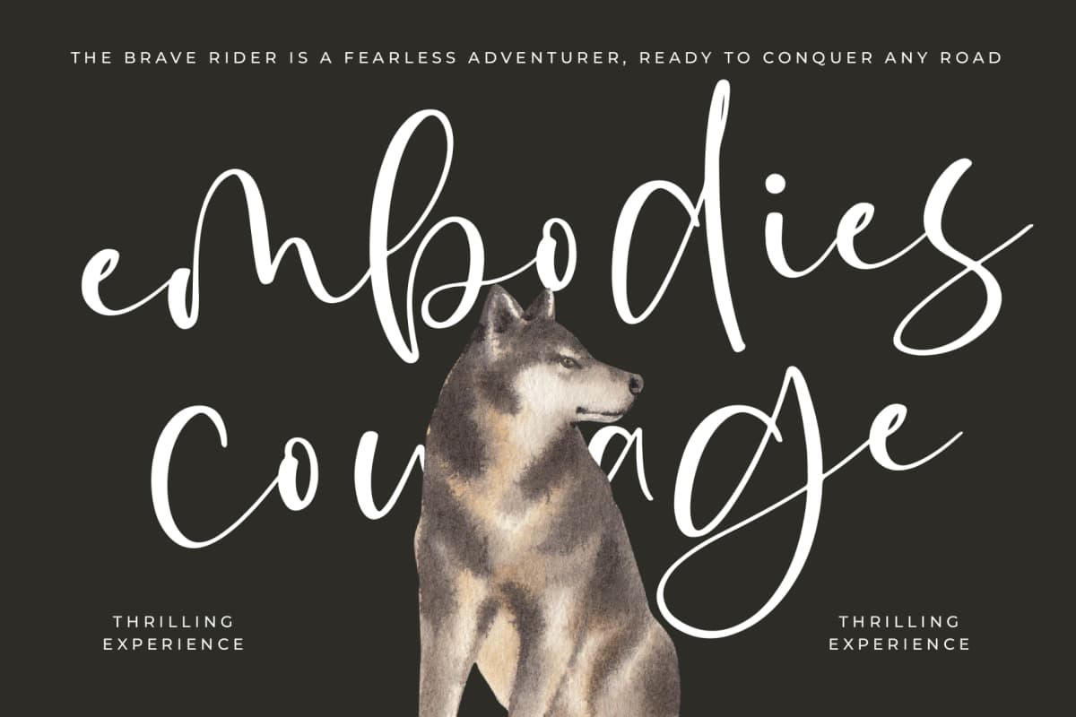 Rustol Wisket - Quirky Handwritten Font font preview 11