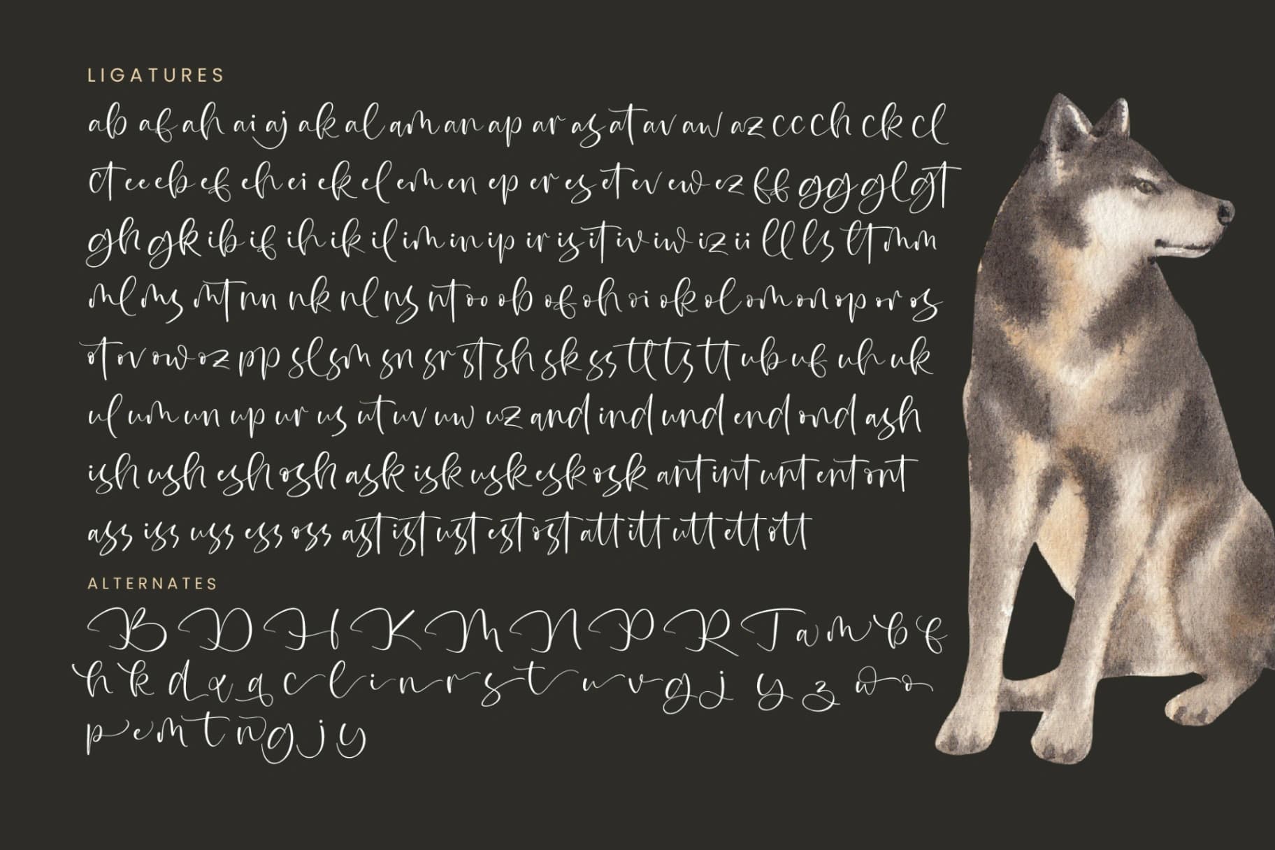 Preview 19 for Rustol Wisket - Quirky Handwritten Font