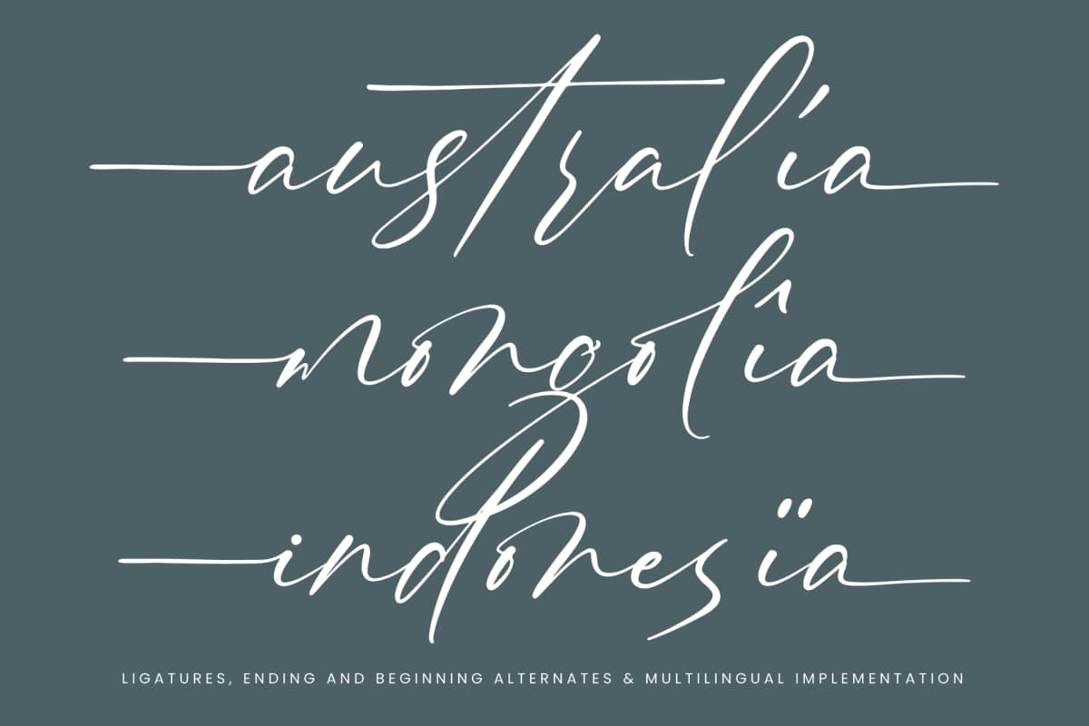 Pinflow Armfrof - Stylish Signature Font font preview 14