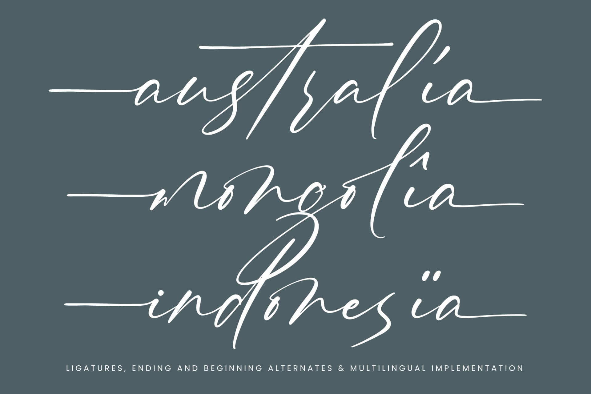 Preview 14 for Pinflow Armfrof - Stylish Signature Font