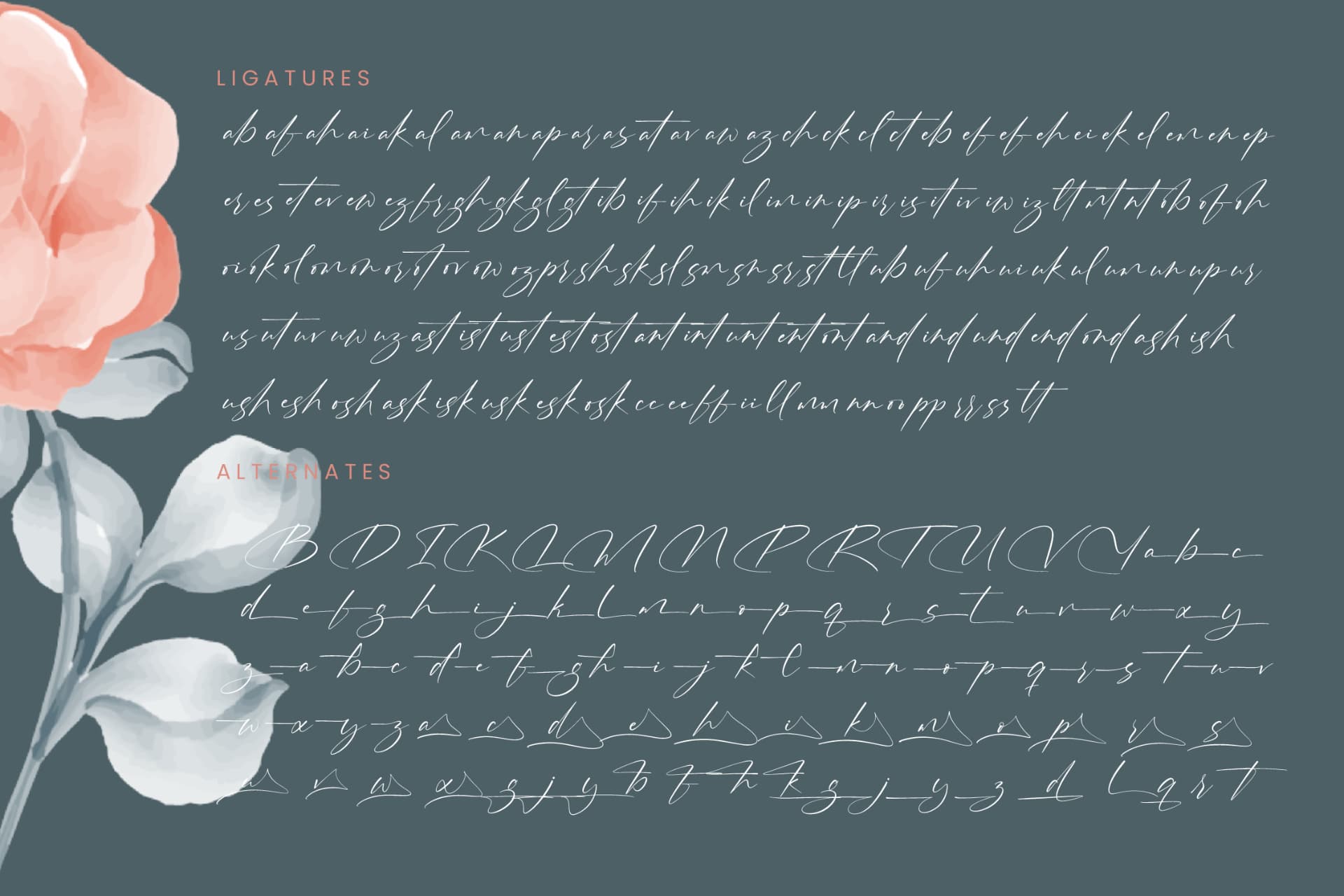 Preview 19 for Pinflow Armfrof - Stylish Signature Font