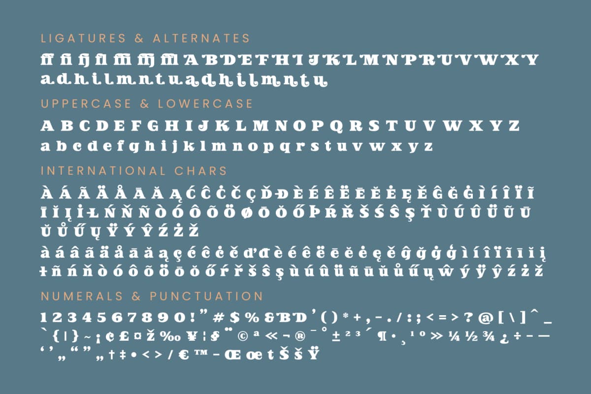 Preview 19 for Jofjin Vikar - Serif Display Font
