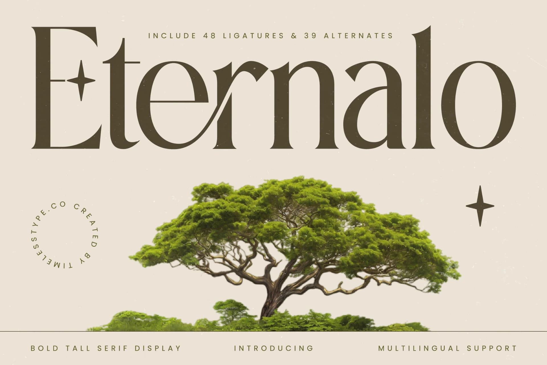 Preview of Eternalo - Bold Tall Serif Display font