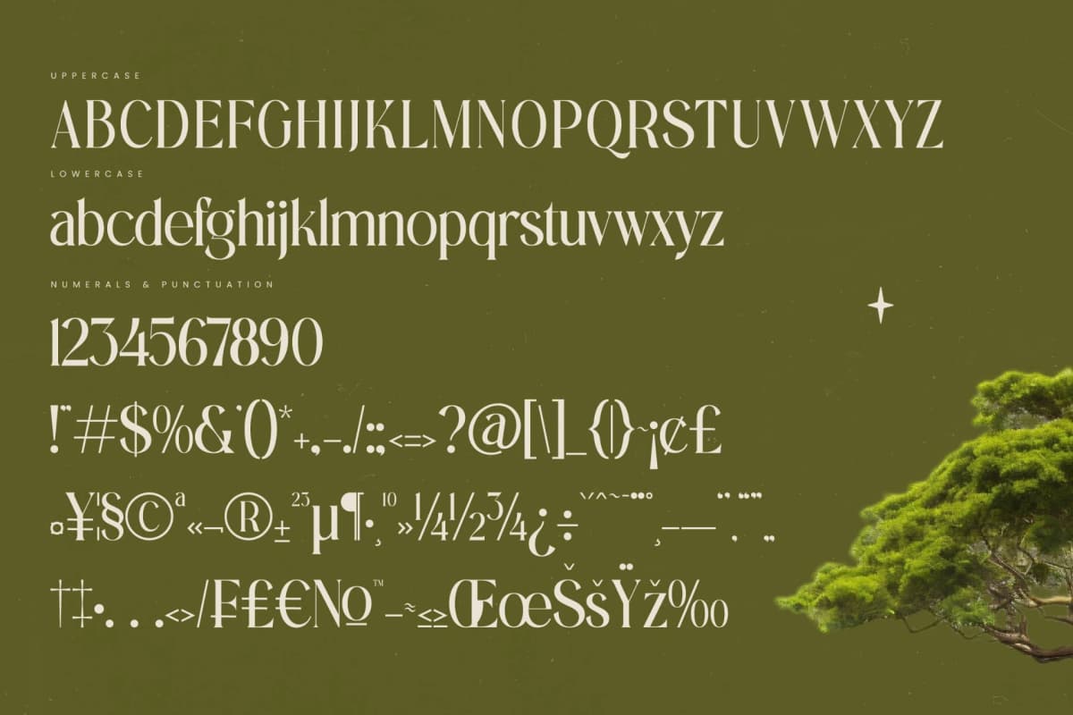 Preview 18 for Eternalo - Bold Tall Serif Display